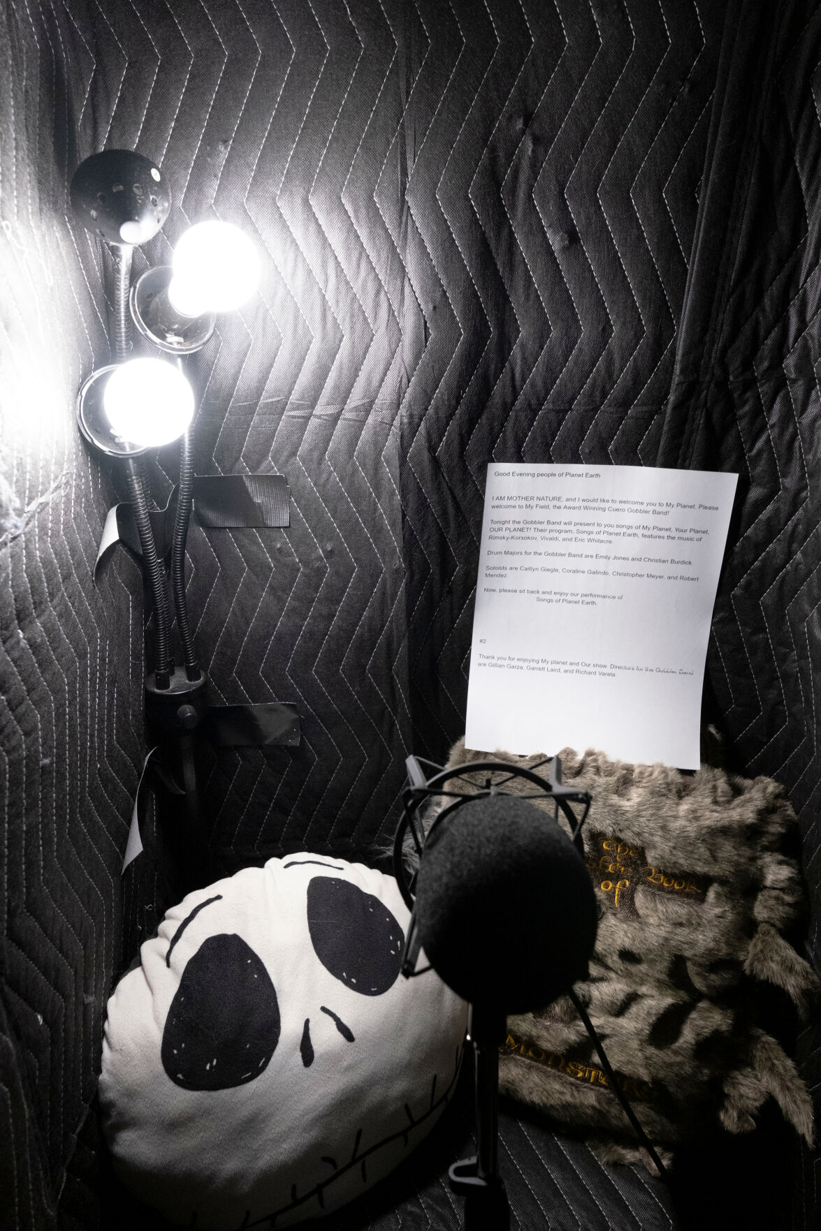 Voice over by Catt Wolf